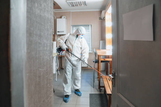 Best Attic Mold Removal  in Knightstown, IN